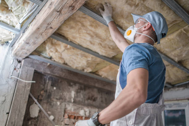Best Geographic-Specific Insulation Services in Washington, IL