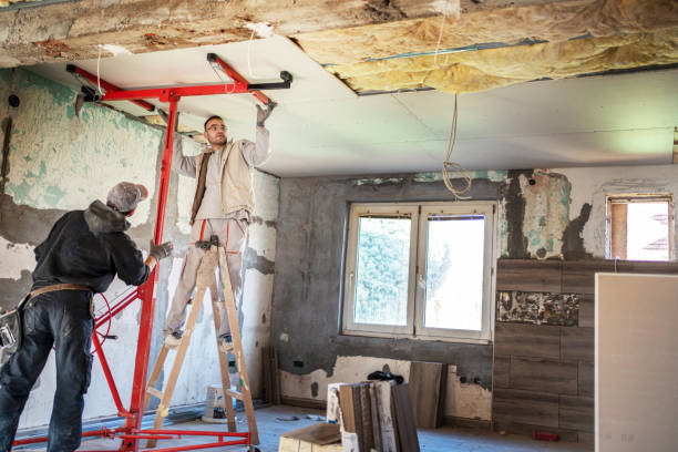 Best Eco-Friendly Insulation in Washington, IL