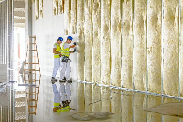 Best Geographic-Specific Insulation Services in Washington, IL